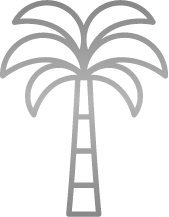 HSS - Palm Icon